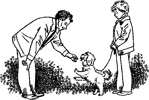 Плыви, кораблик! img_25.png