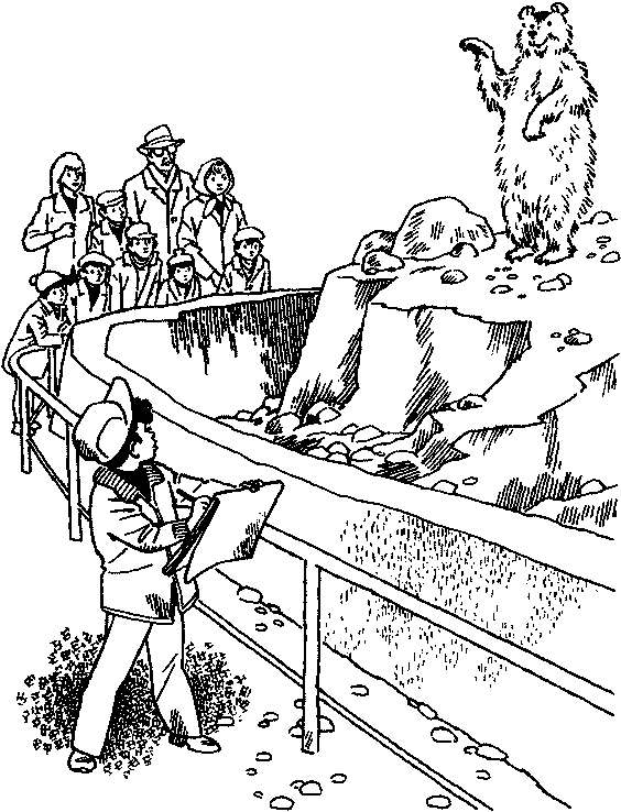Плыви, кораблик! img_27.png
