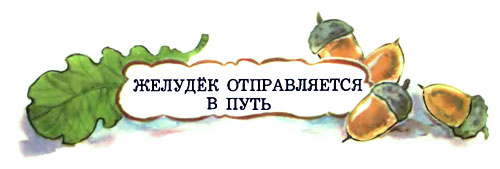 Желудёк i_003.jpg
