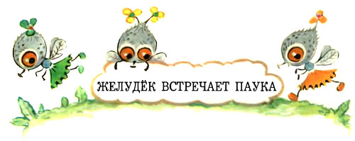 Желудёк i_006.jpg