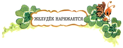 Желудёк i_013.jpg
