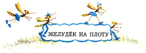 Желудёк i_037.jpg