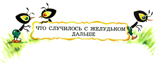 Желудёк i_040.jpg