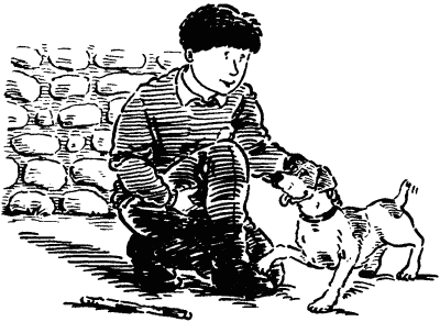 Собачье счастье i_001.png