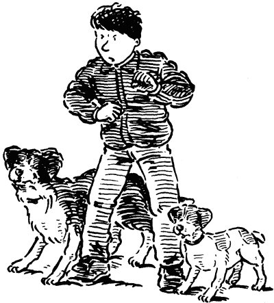 Собачье счастье i_014.png