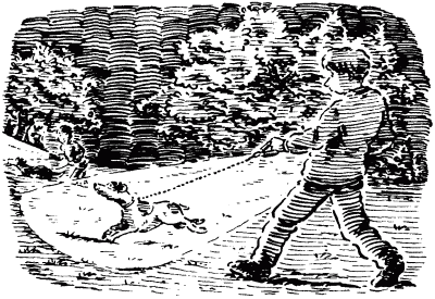 Собачье счастье i_007.png