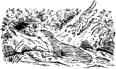 Собачье счастье i_008.png