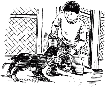 Собачье счастье i_010.png