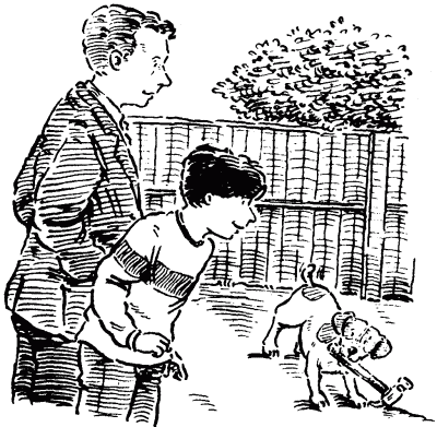 Собачье счастье i_011.png