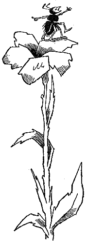 Баранкин, будь человеком (с илл.) g25.png