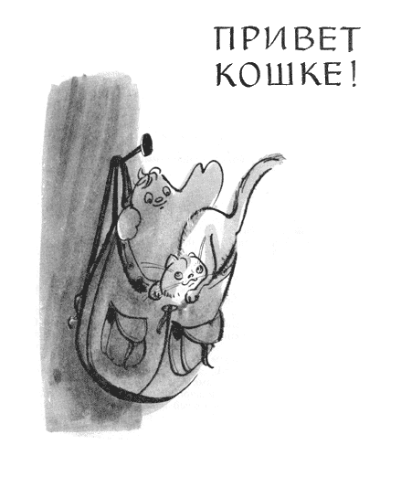 Привет кошке! i_003.png