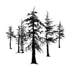 The Winter Ghosts pic_3.jpg