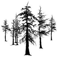 The Winter Ghosts pic_6.jpg