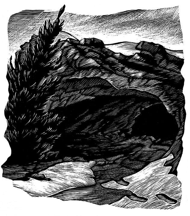 The Winter Ghosts pic_46.jpg
