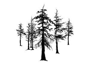 The Winter Ghosts pic_51.jpg