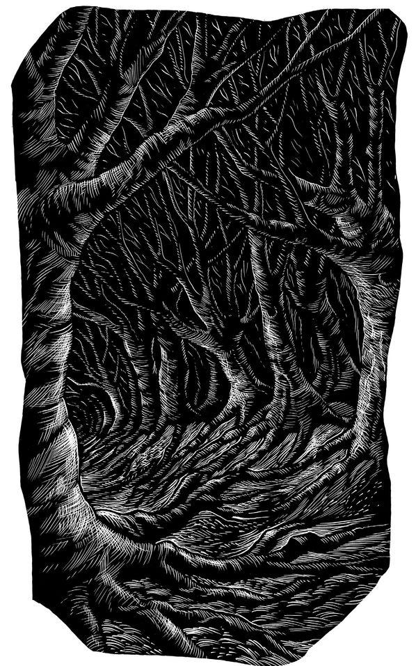 The Winter Ghosts pic_18.jpg