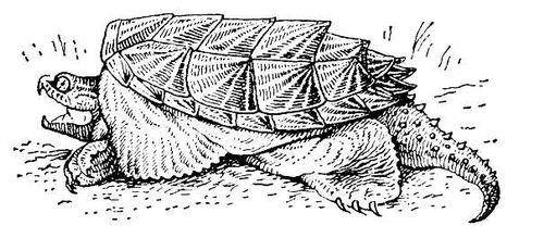 Большая Советская Энциклопедия (КА) i009-001-205830263.jpg