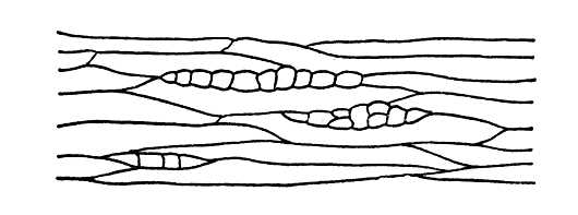 Большая Советская Энциклопедия (КА) i009-001-202385832.jpg