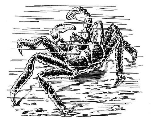 Большая Советская Энциклопедия (КА) i010-001-287651781.jpg