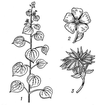 Большая Советская Энциклопедия (КА) i009-001-214554708.jpg