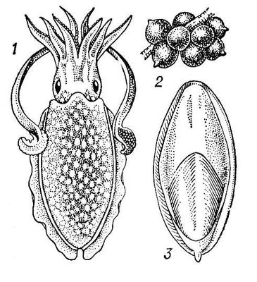 Большая Советская Энциклопедия (КА) i009-001-225579616.jpg