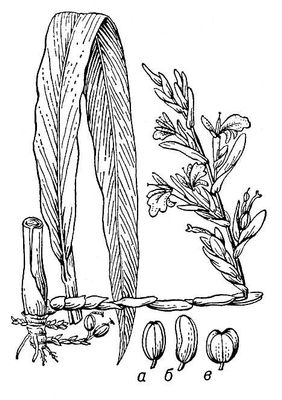 Большая Советская Энциклопедия (КА) i010-001-258158049.jpg
