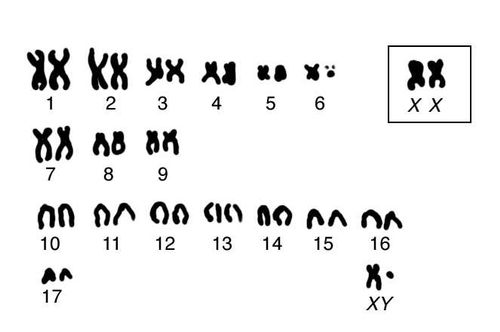 Большая Советская Энциклопедия (КА) i009-001-219910922.jpg