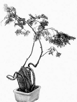 Большая Советская Энциклопедия (КА) i010-001-286044800.jpg