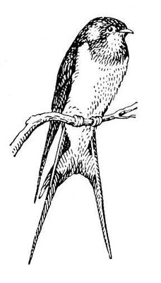 Большая Советская Энциклопедия (КА) i010-001-277616058.jpg