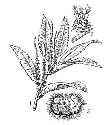 Большая Советская Энциклопедия (КА) i009-001-229934558.jpg