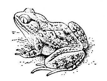 Большая Советская Энциклопедия (КР) i009-001-227424044.jpg