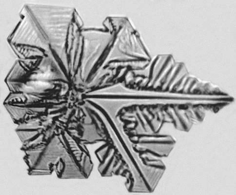 Большая Советская Энциклопедия (КР) i010-001-263071322.jpg