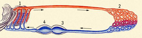 Большая Советская Энциклопедия (КР) i009-001-227732868.jpg