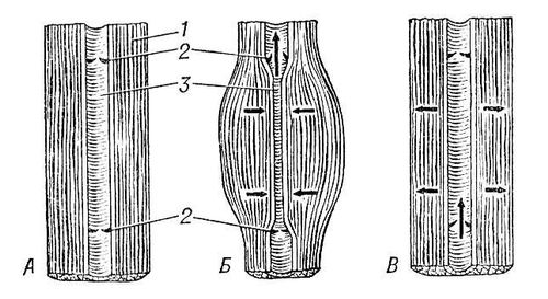 Большая Советская Энциклопедия (КР) i009-001-229598372.jpg