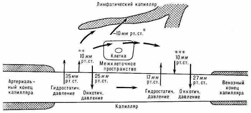 Большая Советская Энциклопедия (КР) i009-001-236070963.jpg