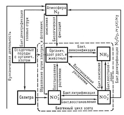 Большая Советская Энциклопедия (КР) i009-001-231321491.jpg