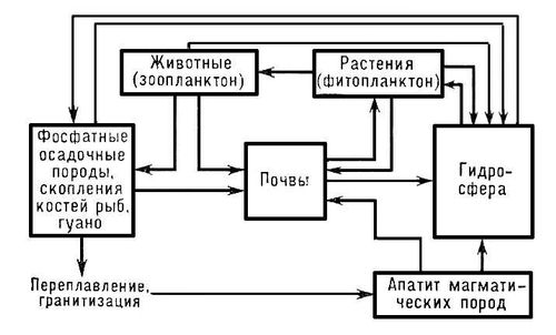 Большая Советская Энциклопедия (КР) i009-001-240601568.jpg