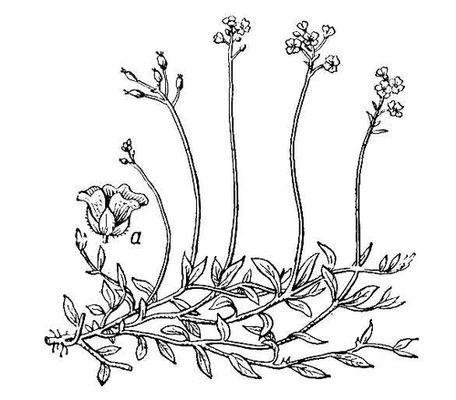 Большая Советская Энциклопедия (КР) i009-001-202929825.jpg