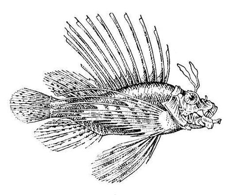 Большая Советская Энциклопедия (КР) i009-001-205894588.jpg