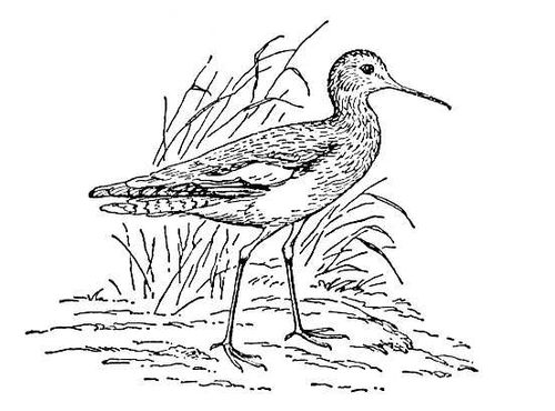 Большая Советская Энциклопедия (КР) i009-001-223683068.jpg