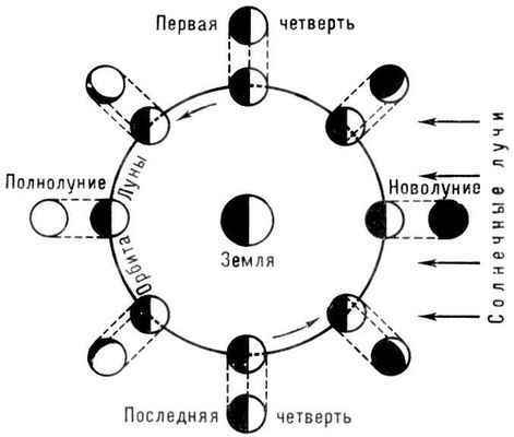 Большая Советская Энциклопедия (ЛУ) i010-001-285439604.jpg