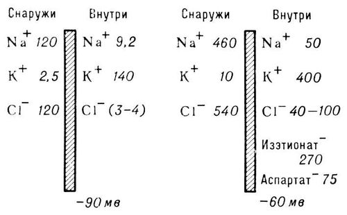 Большая Советская Энциклопедия (МЕ) i010-001-272114198.jpg
