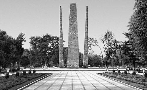 Большая Советская Энциклопедия (ТУ) i008-pictures-001-298638013.jpg