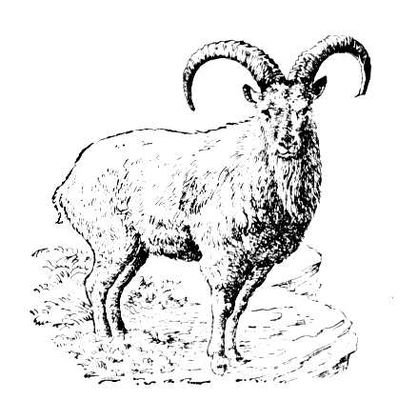 Большая Советская Энциклопедия (ТУ) i010-001-281219423.jpg