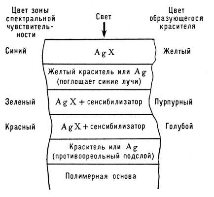 Большая Советская Энциклопедия (ЦВ) i010-001-253436629.jpg