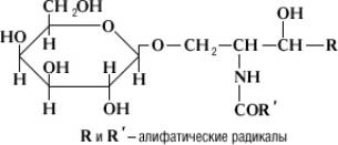 Большая Советская Энциклопедия (ЦЕ) i-images-197085951.jpg