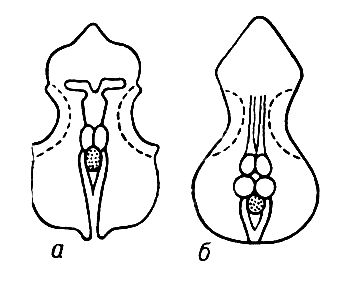 Большая Советская Энциклопедия (ЧЕ) i009-001-239001490.jpg