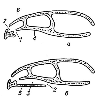 Большая Советская Энциклопедия (ЧЕ) i009-001-241773418.jpg