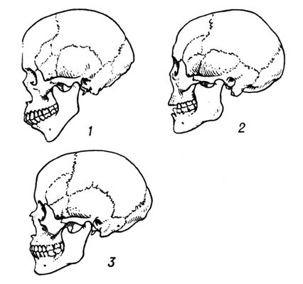 Большая Советская Энциклопедия (ЧЕ) i010-001-249751859.jpg