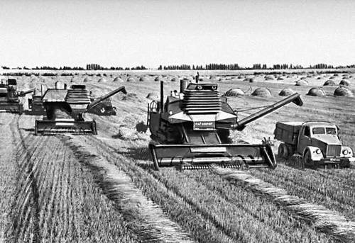 Большая Советская Энциклопедия (ЧЕ) i010-001-247096924.jpg